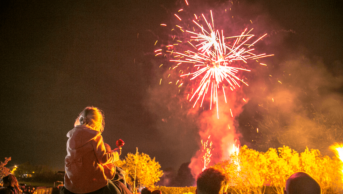 Buy Gender Reveal Fireworks in Blue and Pink