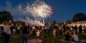 Buy fireworks Manchester celebration with vibrant fireworks illuminating a joyful crowd in the park.